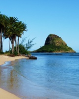 Oahu Hawaii USA 10